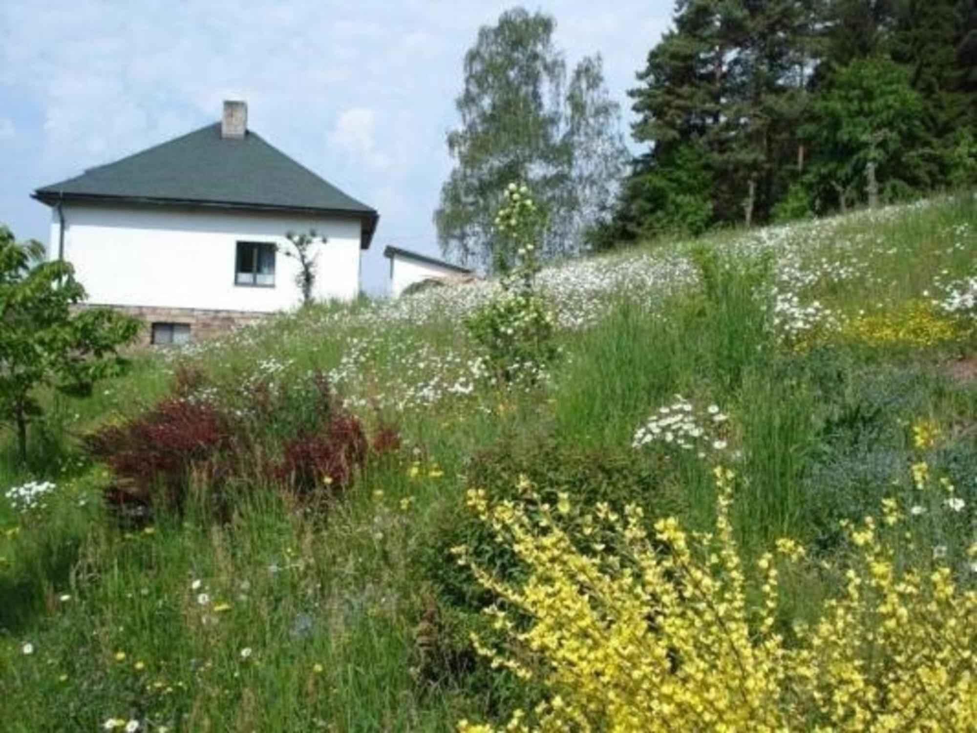 Ein Ferienhaus Mit Terrasse Und Garten Villa Male Svatonovice Exterior foto